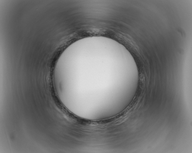 X0000111160416200906301102