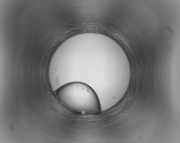 X0000111160417200906301102
