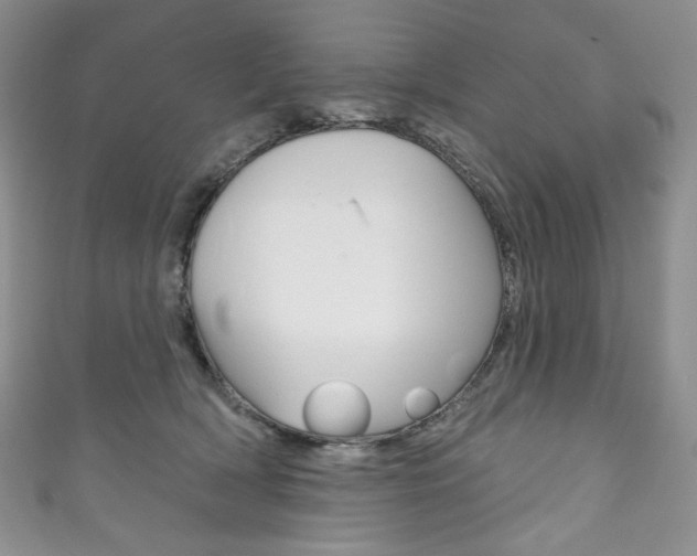 X0000111160418200906301102