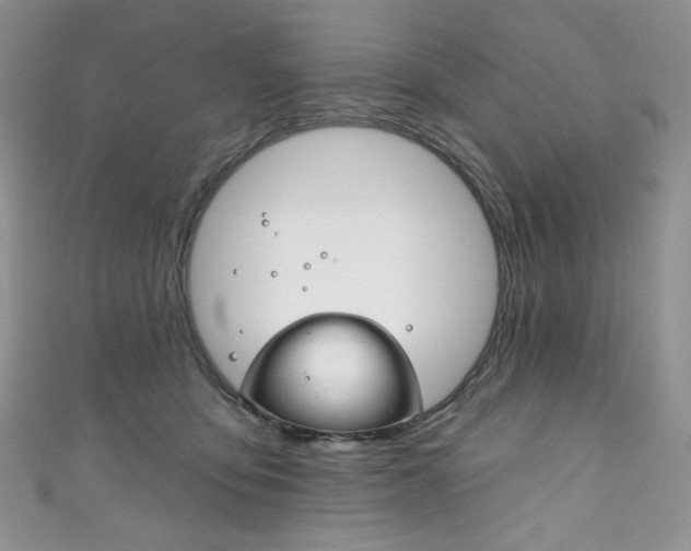 X0000111160419200906301102