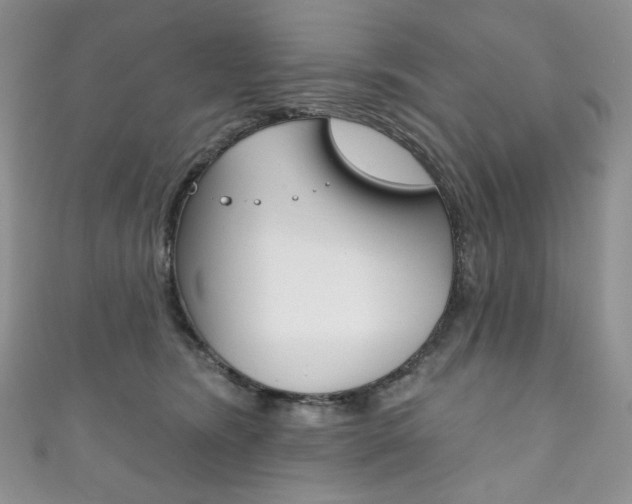 X0000111160420200906301102