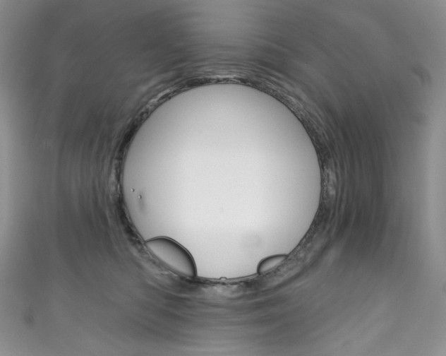X0000111160422200906301102