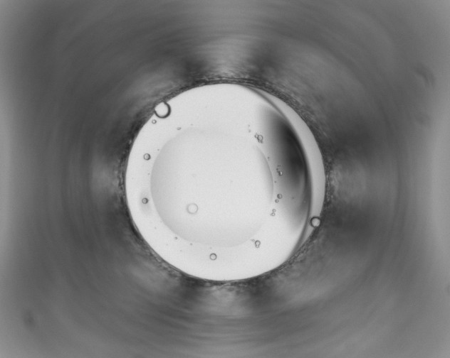 X0000111160423200906301102