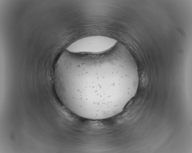 X0000111160424200906301102