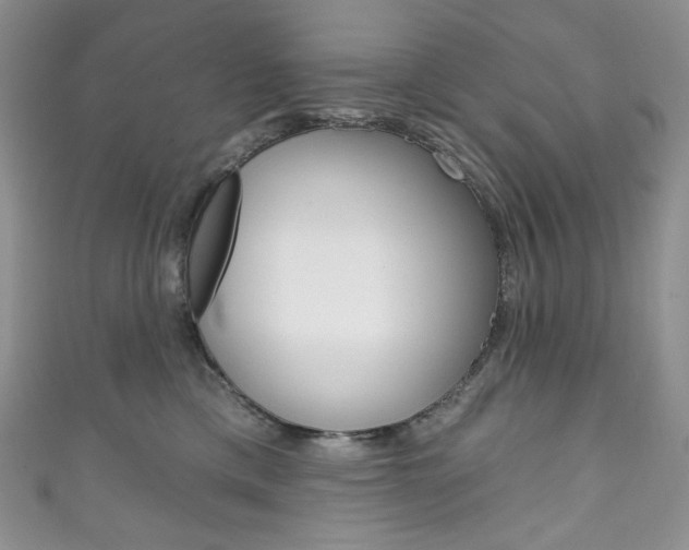 X0000111160425200906301102