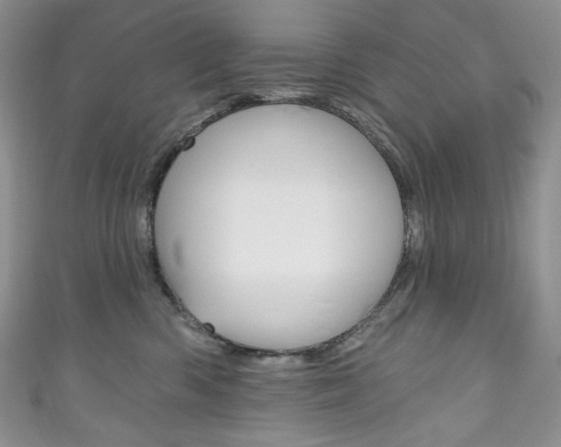 X0000111160426200906301102