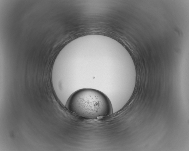 X0000111160427200906301102