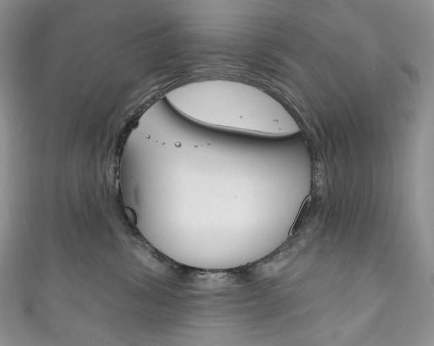 X0000111160428200906301102