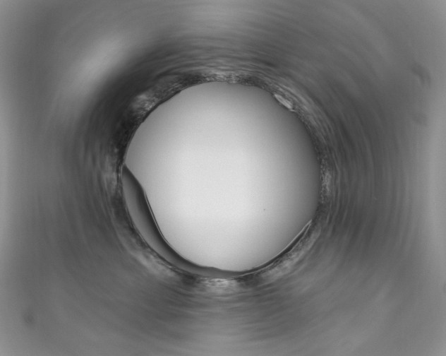 X0000111160429200906301102