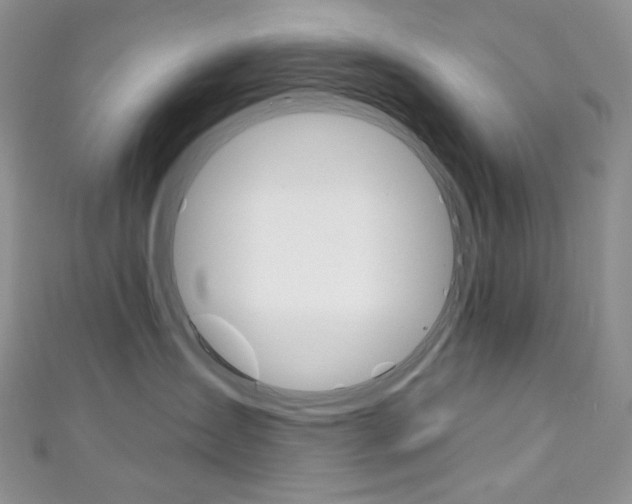 X0000111160431200906301102