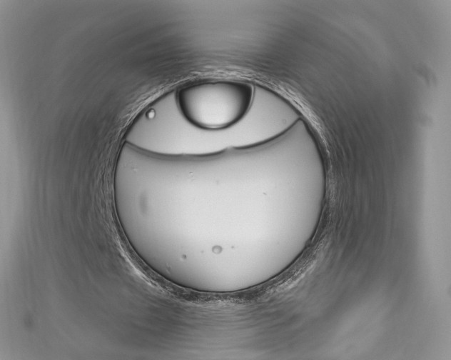 X0000111160433200906301101