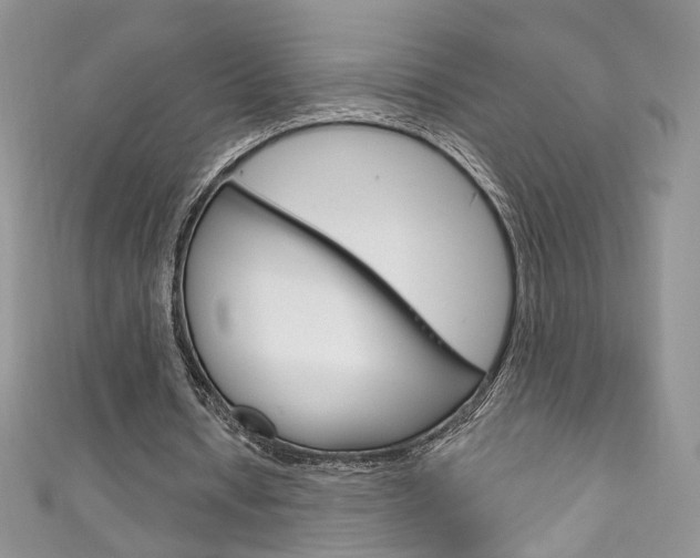 X0000111160434200906301101