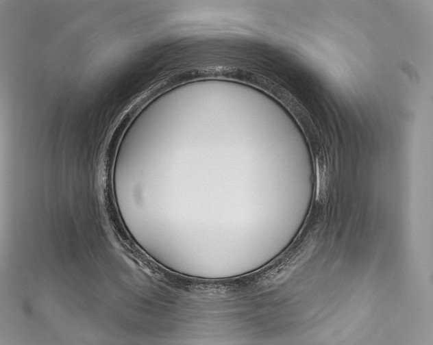 X0000111160435200906301101