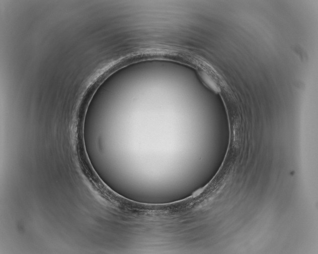 X0000111160436200906301101
