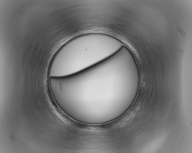 X0000111160437200906301101