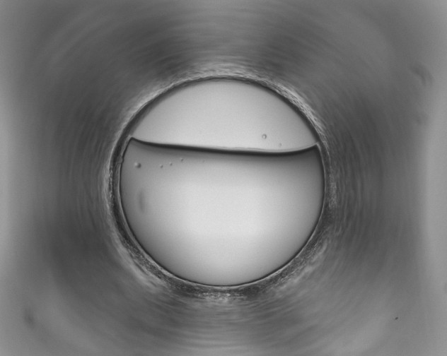 X0000111160439200906301101