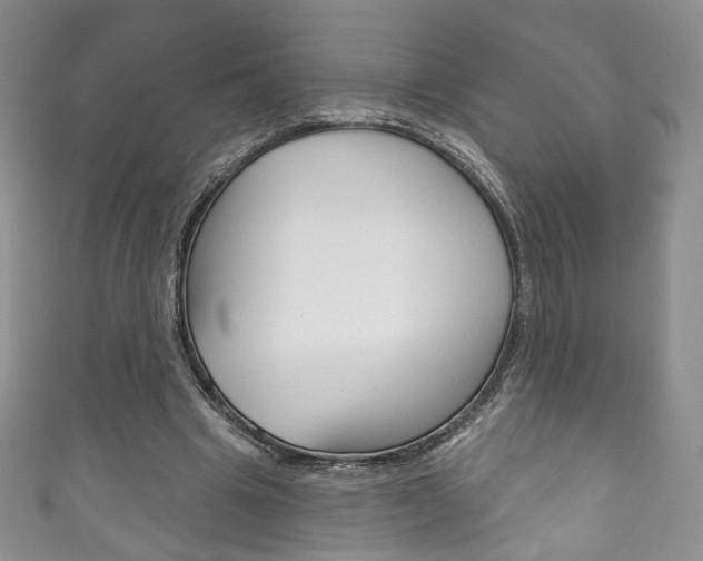 X0000111160441200906301101
