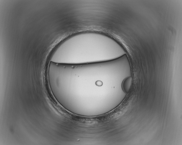 X0000111160443200906301101