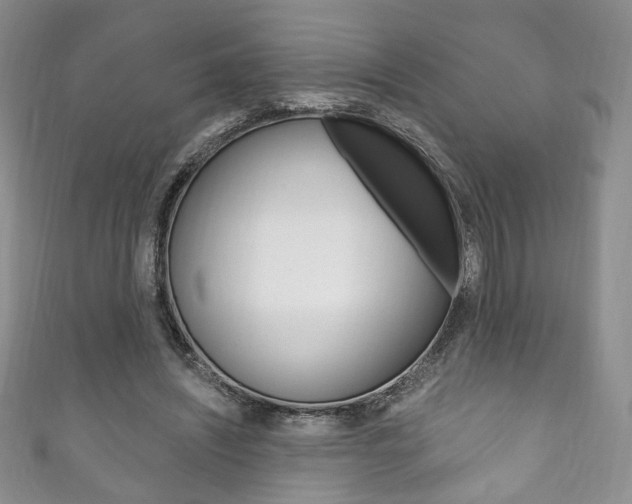 X0000111160444200906301101