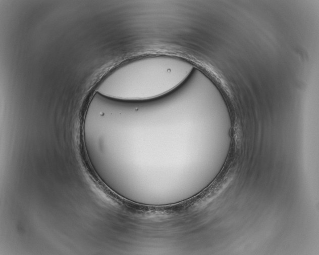 X0000111160445200906301101