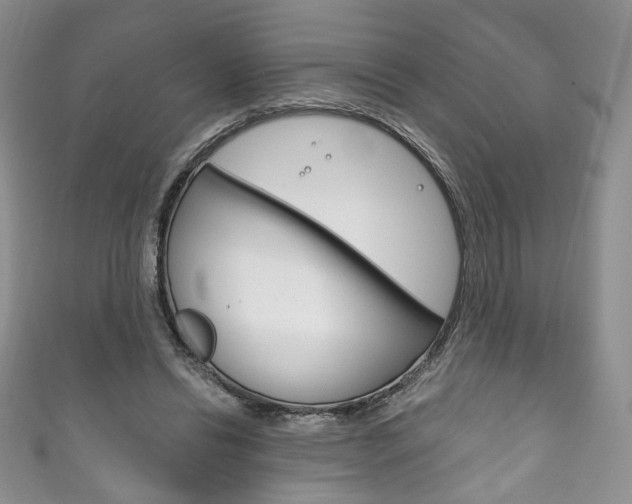 X0000111160446200906301101