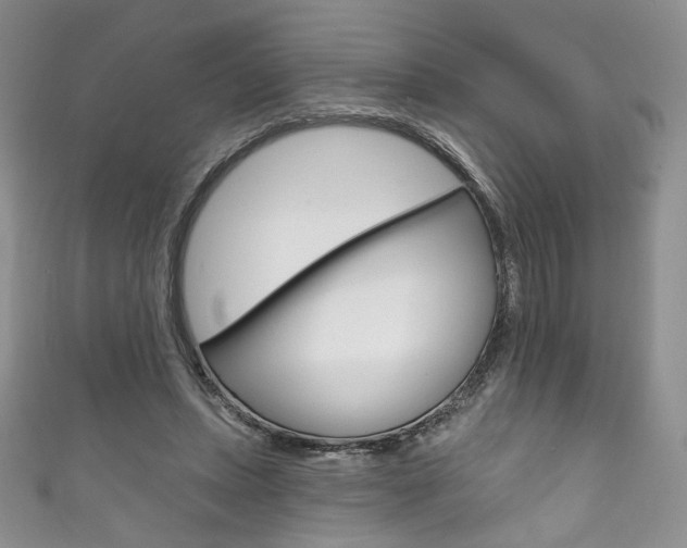 X0000111160447200906301101