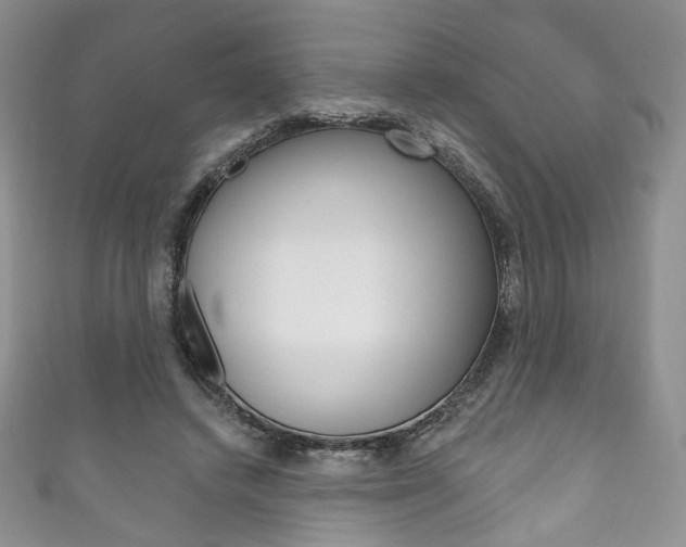 X0000111160448200906301101