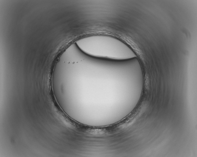 X0000111160449200906301101