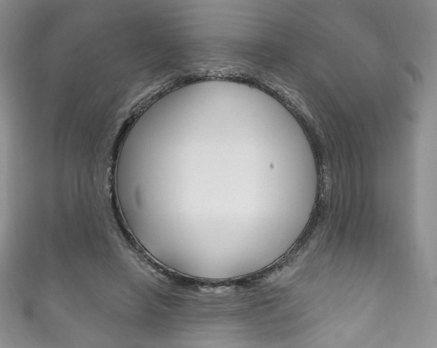X0000111160450200906301101
