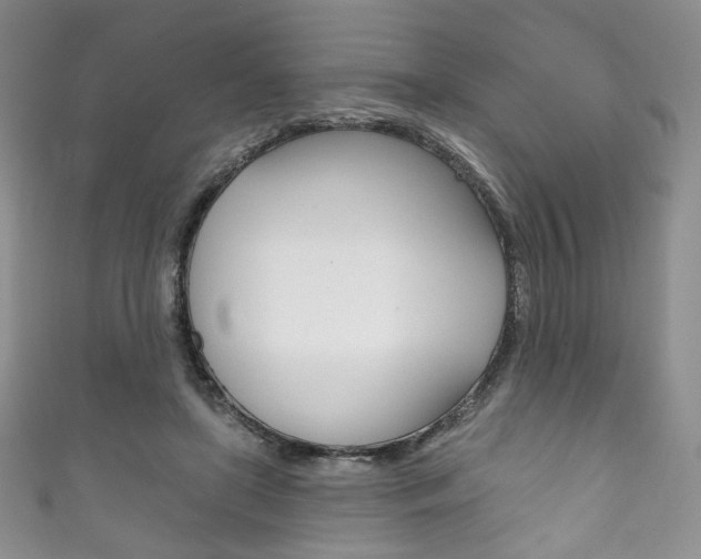 X0000111160451200906301101