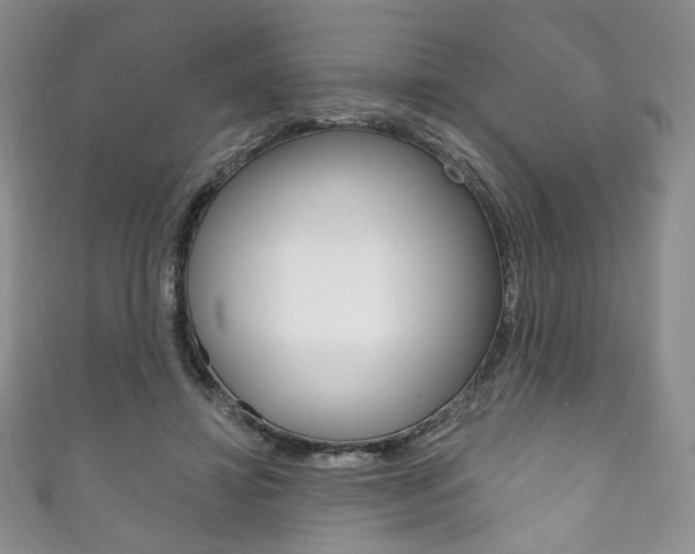 X0000111160452200906301101