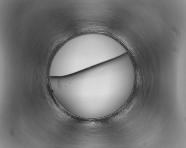 X0000111160453200906301101