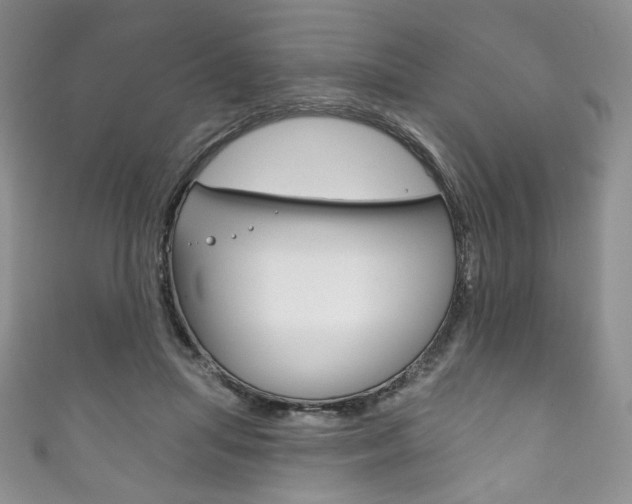 X0000111160455200906301101