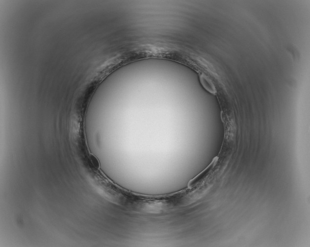 X0000111160456200906301101