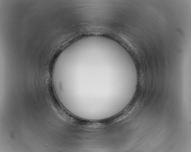 X0000111160459200906301101