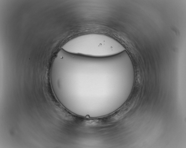 X0000111160461200906301101