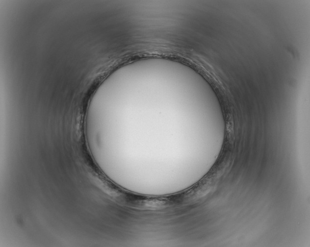 X0000111160462200906301101