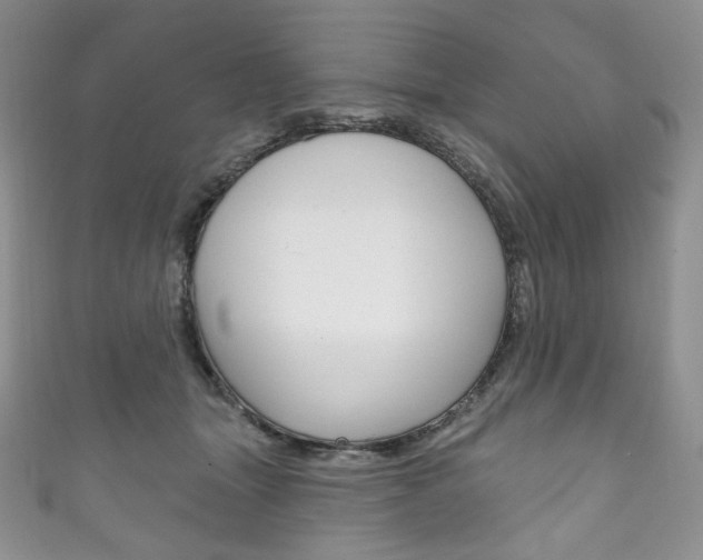 X0000111160463200906301101