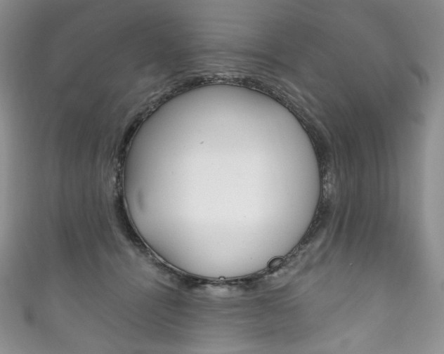 X0000111160464200906301101