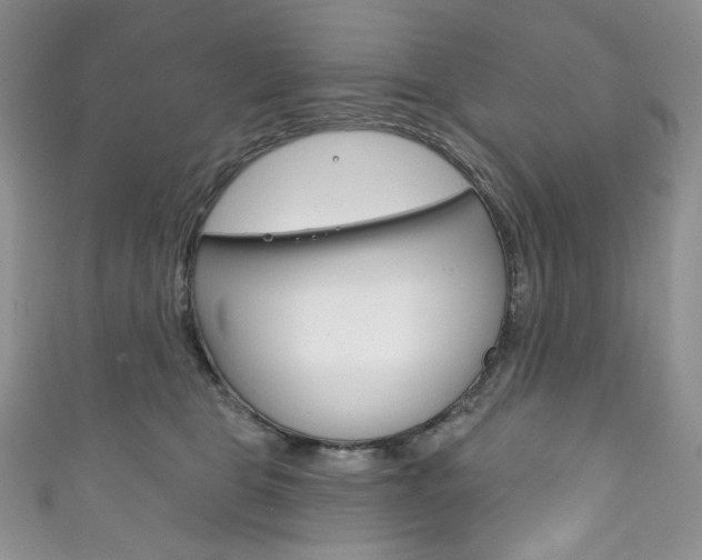 X0000111160469200906301102