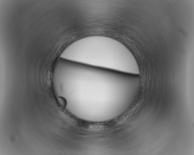 X0000111160470200906301102