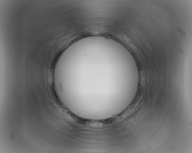 X0000111160471200906301102
