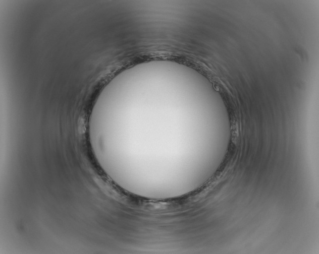 X0000111160472200906301102