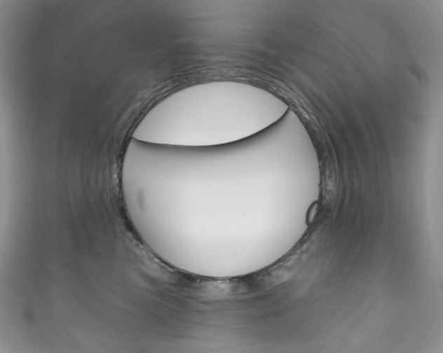 X0000111160473200906301102