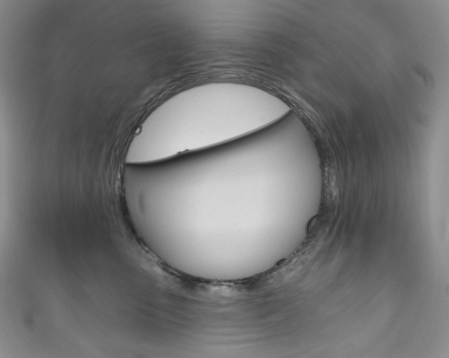 X0000111160475200906301102