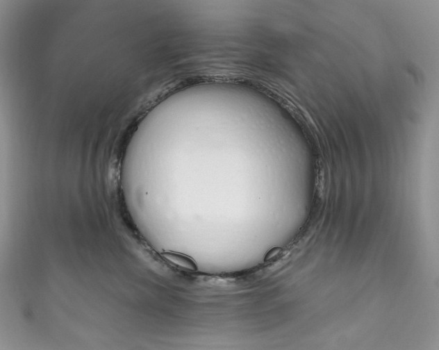 X0000111160476200906301102