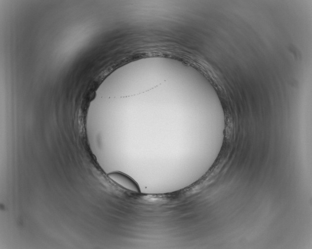 X0000111160477200906301102
