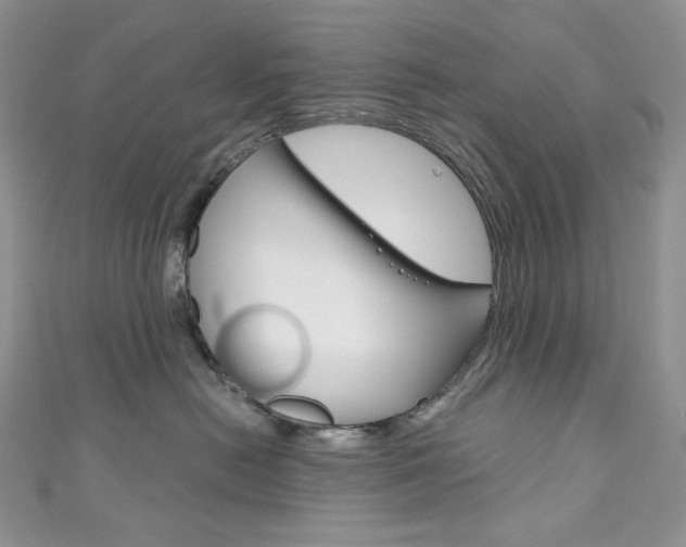 X0000111160478200906301102