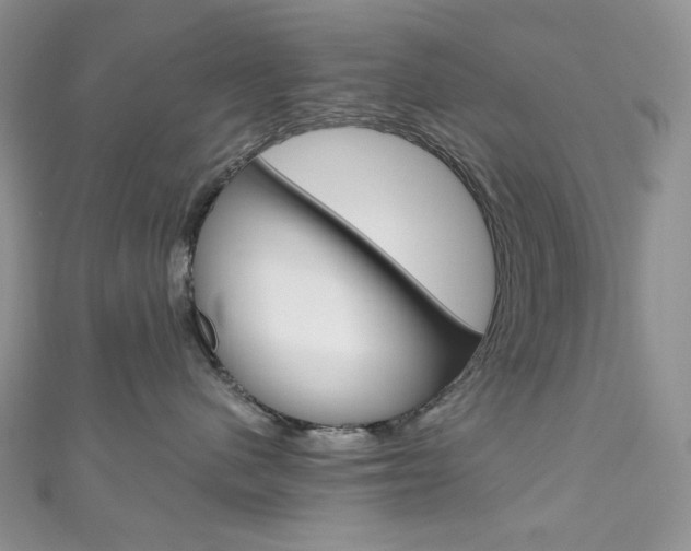 X0000111160480200906301102