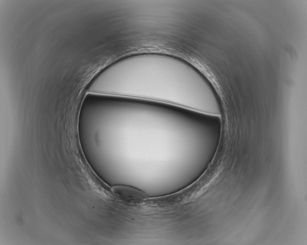 X0000111160481200906301101